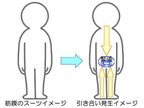 内臓系に溜まった緊張と顎関節との連動もあります